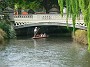 20.15- Promenade en gondole sur l'Avon dans Christchurch